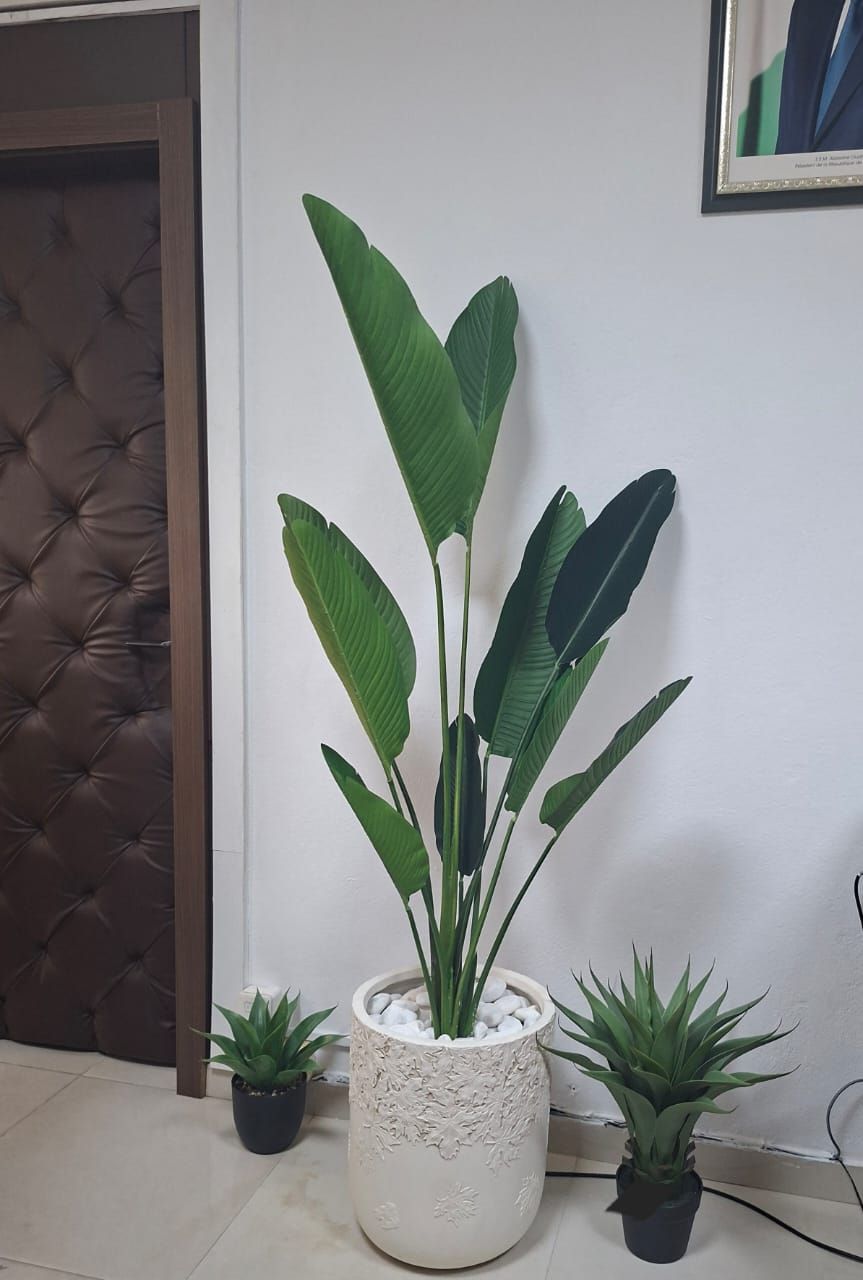 Decorations